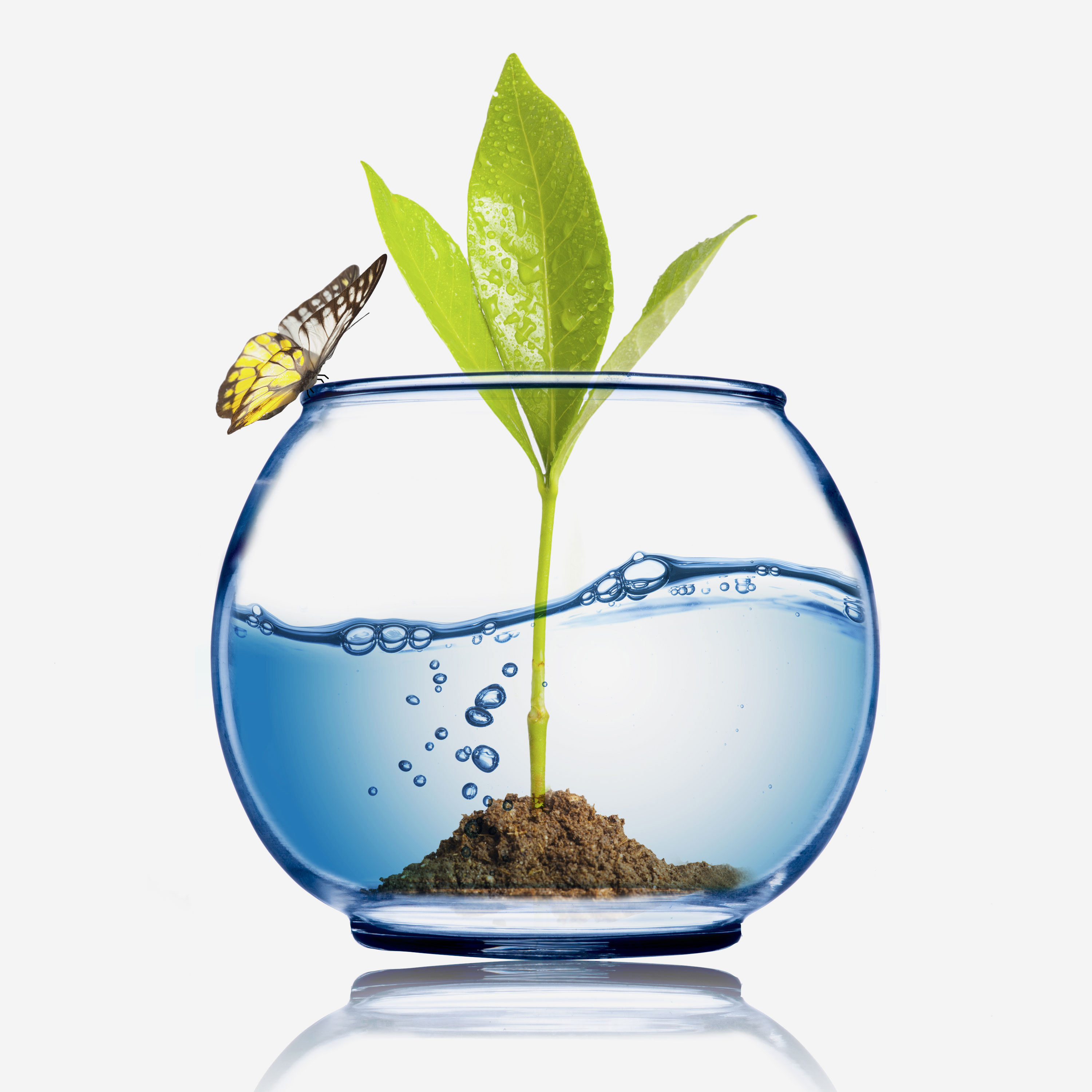 Lubrita Lubricants and Greases Sustainable Energy_news.jpg